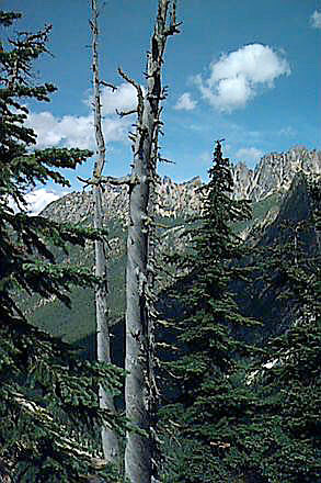 Washington Pass Photo